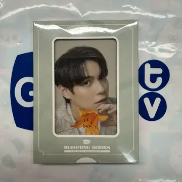 First 트레이딩 카드 Blooming Series GMMTV