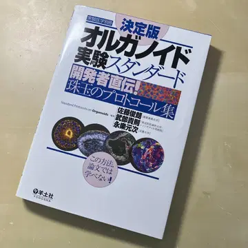 결정판 오르가노이드 실험 스탠다드