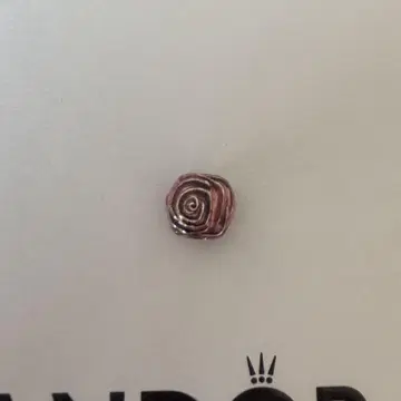 PANDORA 참 Pink Rose in Bloom 참