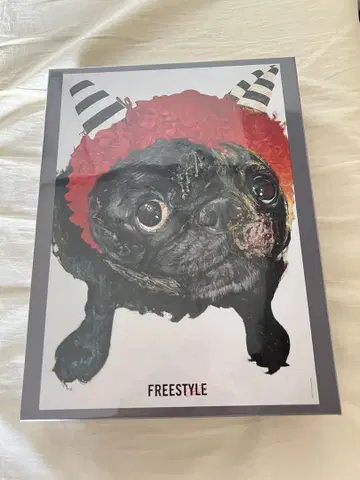 아라시 오노 사토시 FREESTYLE 2020 직소 퍼즐