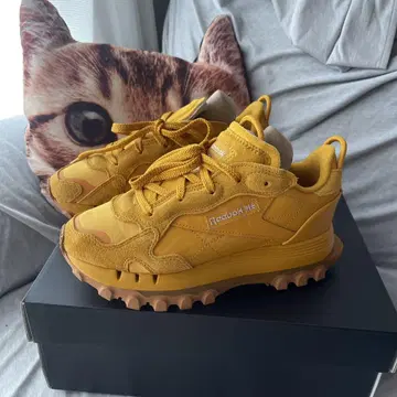 Reebok CARDI B