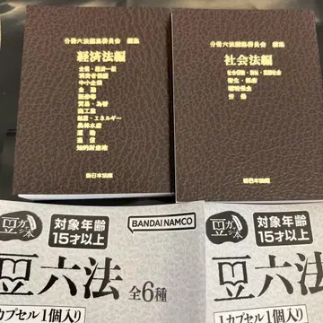 콩 육법 사회법 편 경제법 편 2권 세트