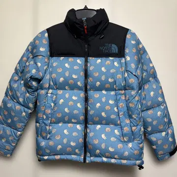 THE NORTH FACE 다운 자켓 S 사이즈