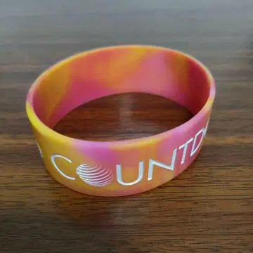 COUNTDOWN JAPAN 러버 밴드 15-16