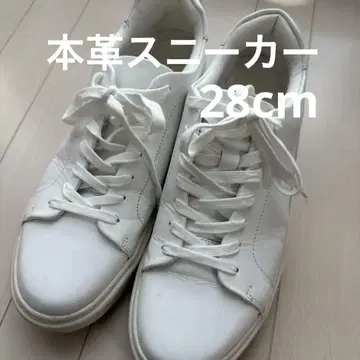 천연 가죽 PATRICK COX 남성용 가죽 스니커즈 28cm
