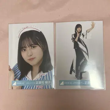쇼겐지 요코 브로마이드 2장 세트 할로윈 의상 중