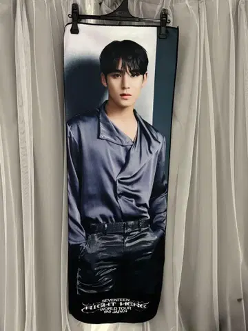 seventeen mingyu right here 빅 사진 타월