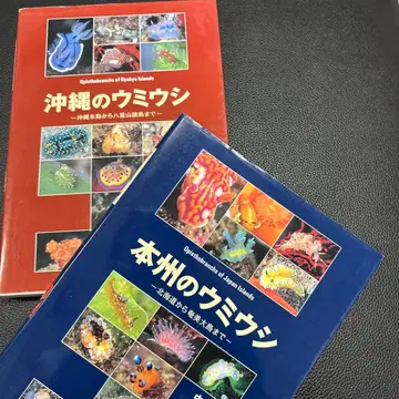 혼슈의 바다달팽이와 오키나와의 바다달팽이 2권 세트