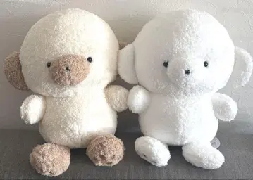 미사용 새상품 조세마루 라테 BIG 봉제 인형 2종 세트