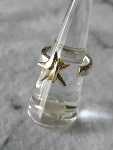 LAPUI 라피유 Coil Star ring