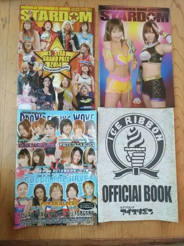 ICE RIBBON STARDOM 프로레슬링 WAVE 팜플렛