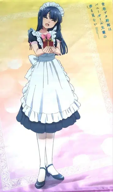 청춘 돼지는 파를 먹지 않아 마키노하라 쇼코 태피스트리