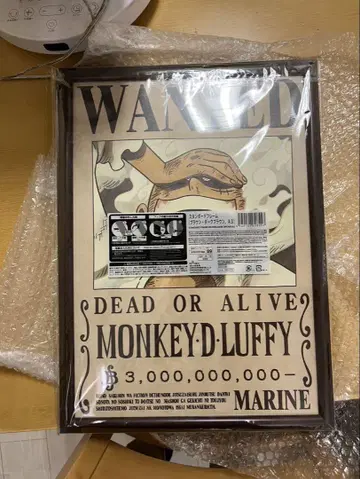 몽키 D 루피 WANTED 포스터