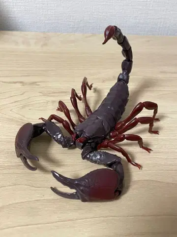 레드 크로우 엠퍼러 스콜피온 (대) 생물대도감 전갈 가챠