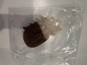 호놀룰루 쿠키 컴퍼니 클립