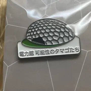 오사카 간사이 박람회 전력관 가능성의 알들