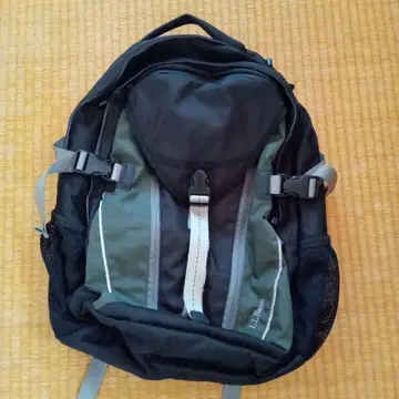 L.L.Bean 백팩 블랙 그린