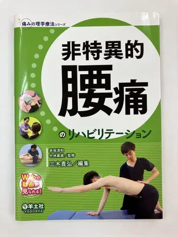비특이적 요통의 재활 치료