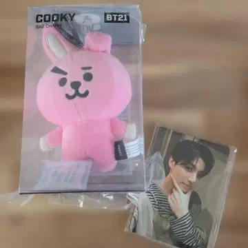 BT21 COOKY 백참