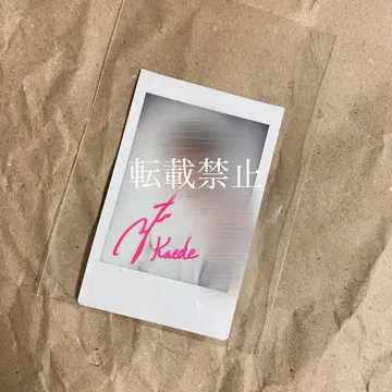 카타요세 료타 친필 사인 폴라로이드