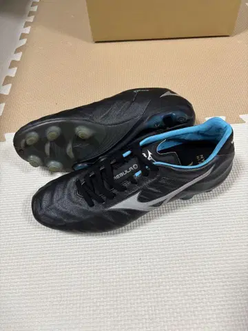 미즈노 리뷰라 V1 JAPAN 26.5cm