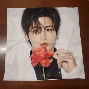 박형식 쿠션 커버