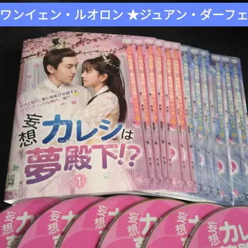 중국 드라마 망상 카는 꿈의 전하 DVD 전권 렌탈용 원옌 루오롱