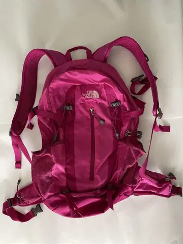 The North Face Tellus 25 핑크 백팩