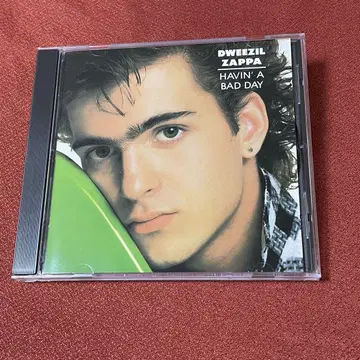 Dweezil Zappa/Havin' a Bad Day 멜로하드 AOR
