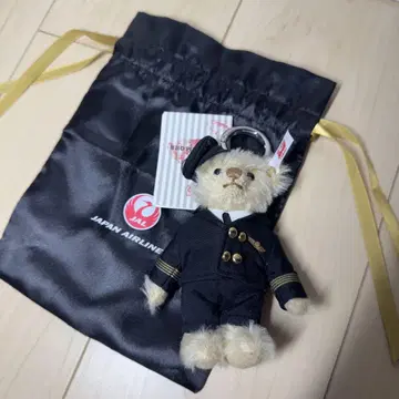 JAL 슈타이프 파이롯트