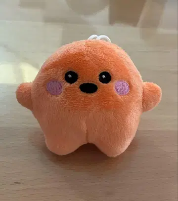 서큘러짱 오렌지 만박