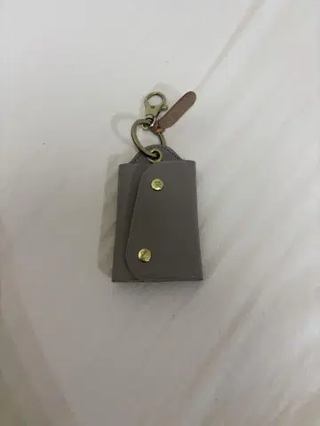IL BISONTE 가죽제 그레이 키케이스