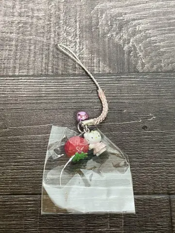지역 한정 키티 시즈오카