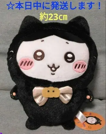 [ 치이카와 (먼작귀) 검은 고양이 봉제 인형 [ 하치와레 ] ]