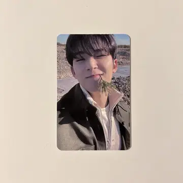 seventeen 민규 face the sun