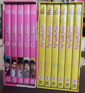 꽃보다 남자 꽃보다 남자 2 DVD 박스 세트