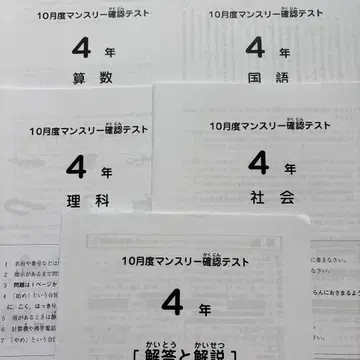 사피스 4년 먼슬리 테스트