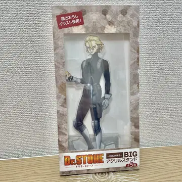 Dr.STONE gigo big 아크릴 스탠드 스탠리 닥스토