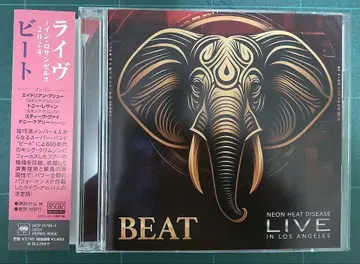 BEAT CD 80년대 킹 크림슨