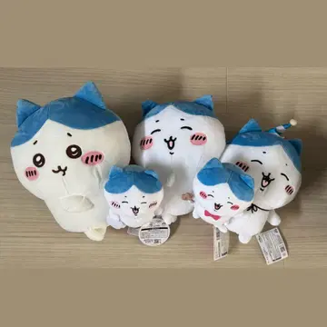 하치와레 5세트