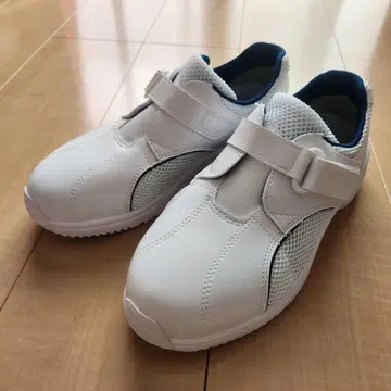 미도리 안전 케어세이프티 24.5cm