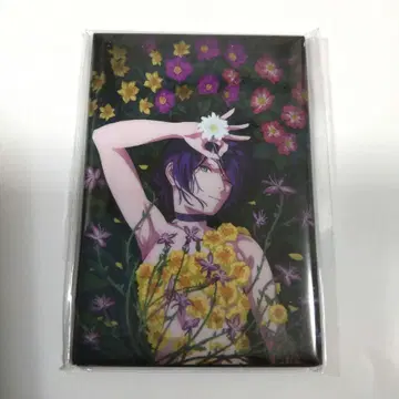 체인소 맨 플라자 레제 스퀘어 마그넷 판 마그넷 레제 편 로프트