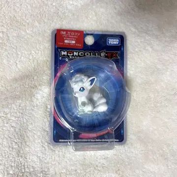 몬코레 알로라 식스테일