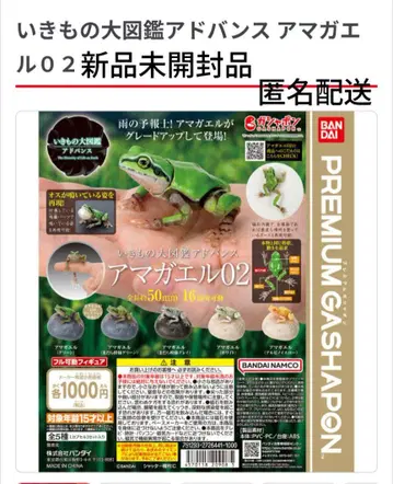 생물대도감 어드밴스 청개구리 02 미개봉 새상품