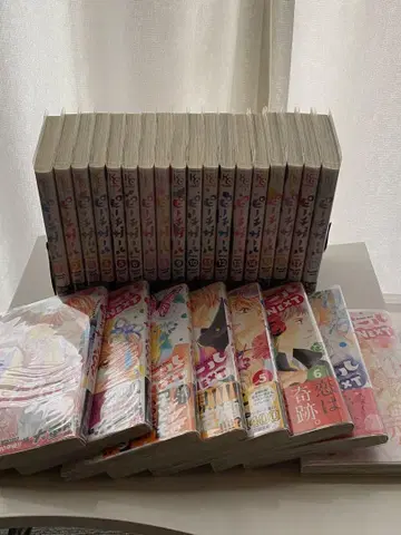 신장판 피치걸 전권 피치걸 NEXT 전권