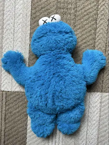 KAWS 세서미 스트릿 쿠키 몬스터