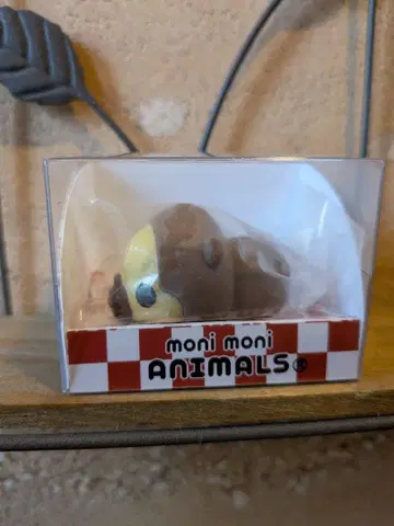 moni moni ANIMALS 마운틴 고릴라 (상자 접이식 포장)