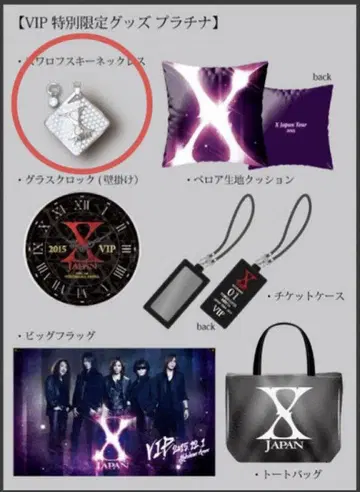 2015 X JAPAN 굿즈 스와로브스키 목걸이