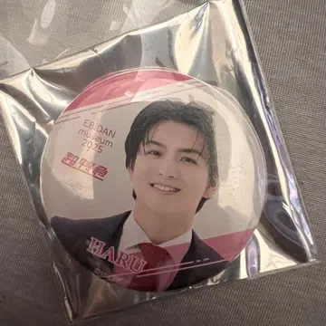 초특급 하루 캔뱃지