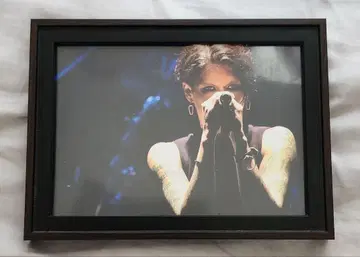 lynch. 하즈키 사진 S 사이즈